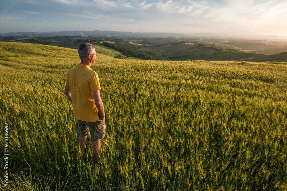 Wheat field