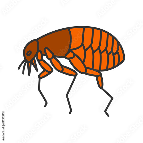 Flea color icon