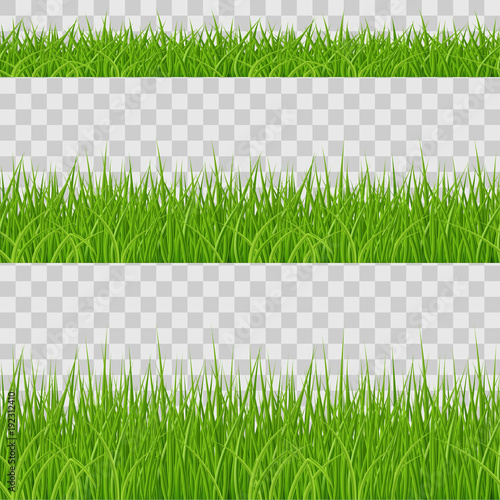 Green Grass