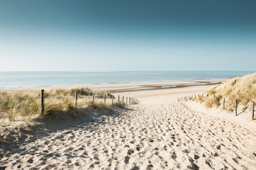 Foto auf Acrylglas Nordsee Sanddünen an der Nordseeküste in Noordwijk, Niederlande, Europa.  © smallredgirl