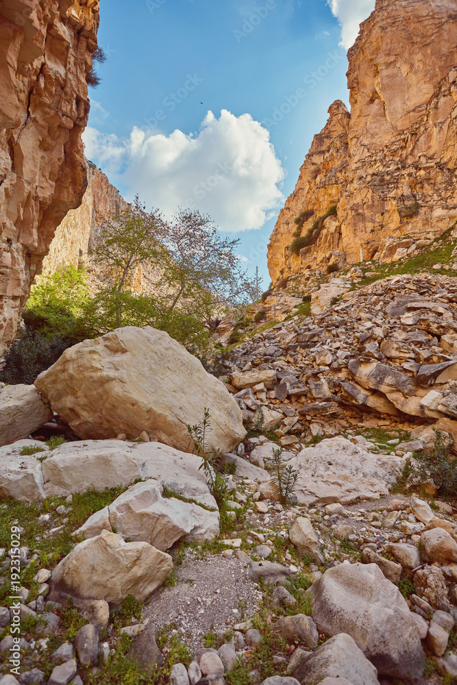 Avakas Gorge in Cyprus. Little river in foreground, sunlit rocks Avakas Gorge in Cyprus. Little river in foreground, sunlit rocks