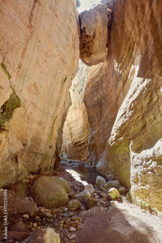 Avakas Gorge in Cyprus. Little river in foreground, sunlit rocks