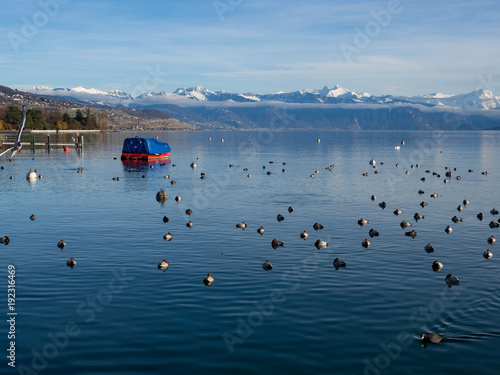 Idyllic view of Lake Geneva in Lausanne. Blue water, mountains and trees. January, 2018