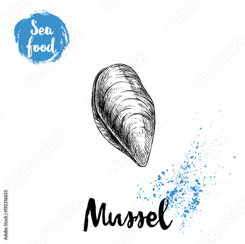 Hand drawn sketch style closed fresh mussel. Seafood vector illustration poster for fish markets and restaurants menu.