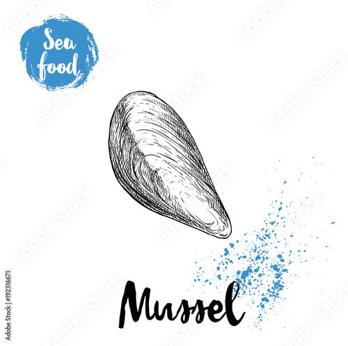 Hand drawn sketch style closed fresh mussel. Seafood vector illustration poster for fish markets and restaurants menu.