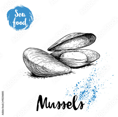 Hand drawn sketch style boiled fresh mussels. Seafood vector illustration poster for fish markets and restaurants menu.