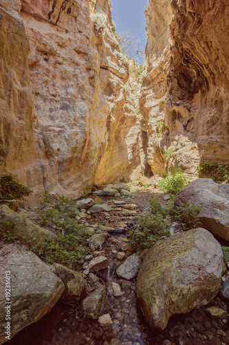 Sunlit rocks of Avakas Gorge in Cyprus.