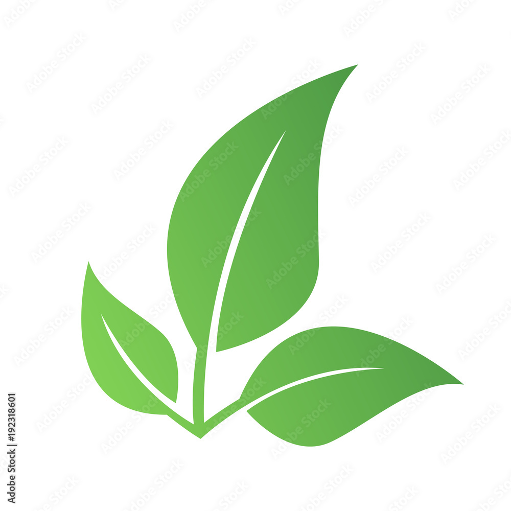 Zielony liść eko - obrazy, fototapety, plakaty 