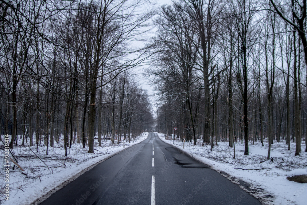 Winter road Winter road