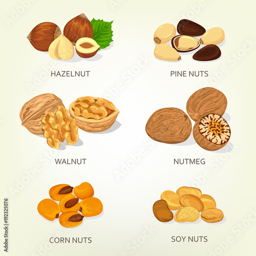 Hazelnut and walnut, corn and soy nuts shell