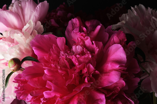 Bouquet of peonies