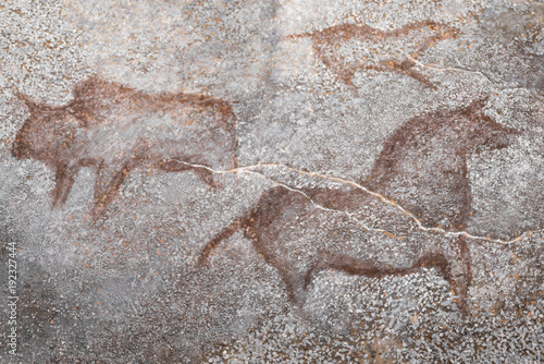 images of ancient animals on the wall of the cave, made by an ancient human ocher. stone Age. archeology. history of antiquities.
