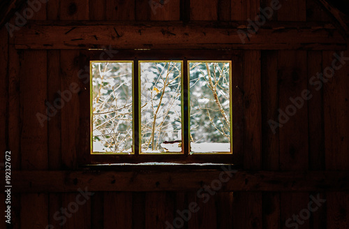 through the window, you can see the tree branches in winter