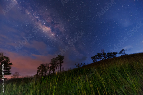 starry night sky with Milky way. image contain soft focus, blur and noise as night photo required high iso and long expose.