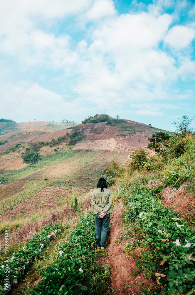 Female farmer, gardener walking in strawberry farm on hills in Chiang Mai, Thailand Female farmer, gardener walking in strawberry farm on hills in Chiang Mai, Thailand