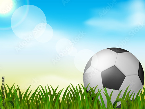 Soccer ball on green grass background  vector illustration