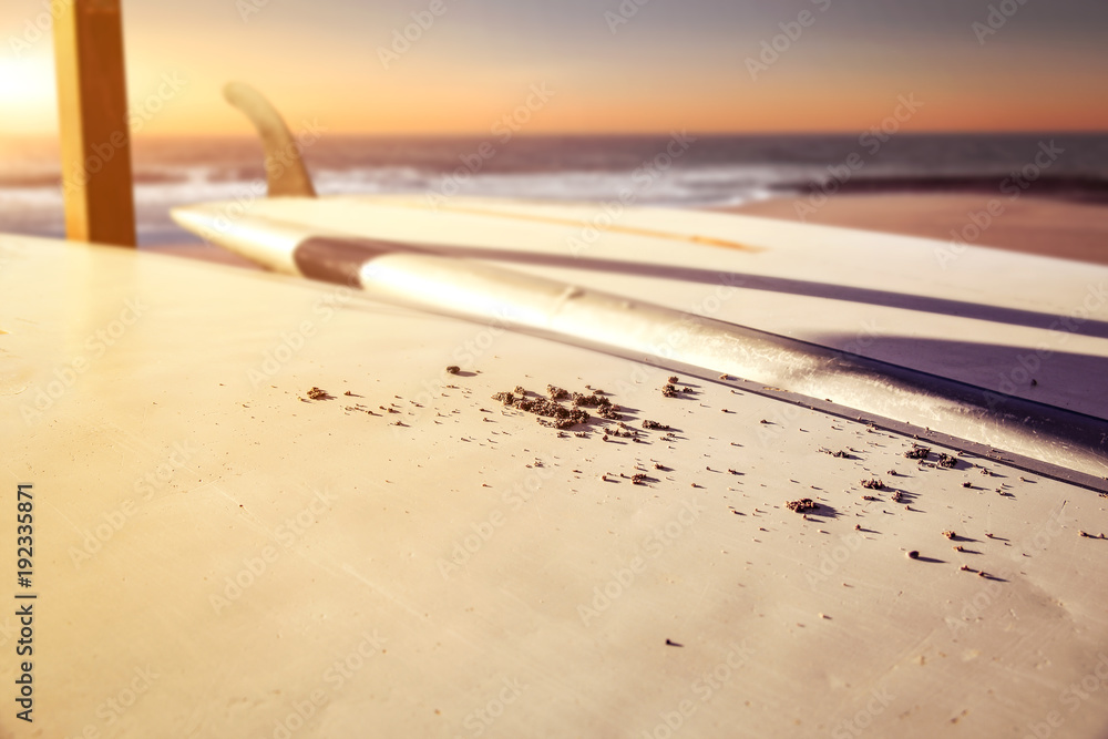 Naklejka premium deska surfingowa pod produkt reklamowy lub tekst 