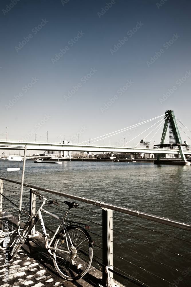 Obraz premium Along the Rhine 23