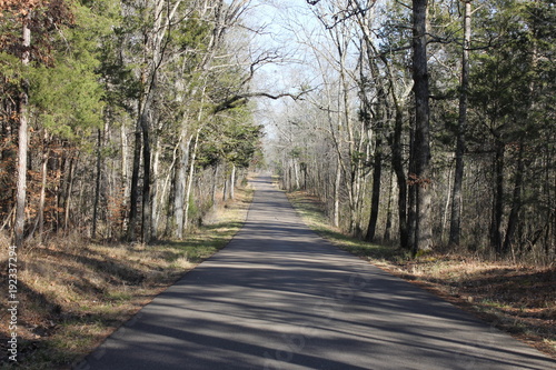Beautiful day to walk or run at a forest trail
