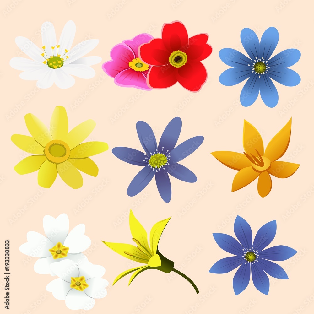 set of spring flowers set of spring flowers
