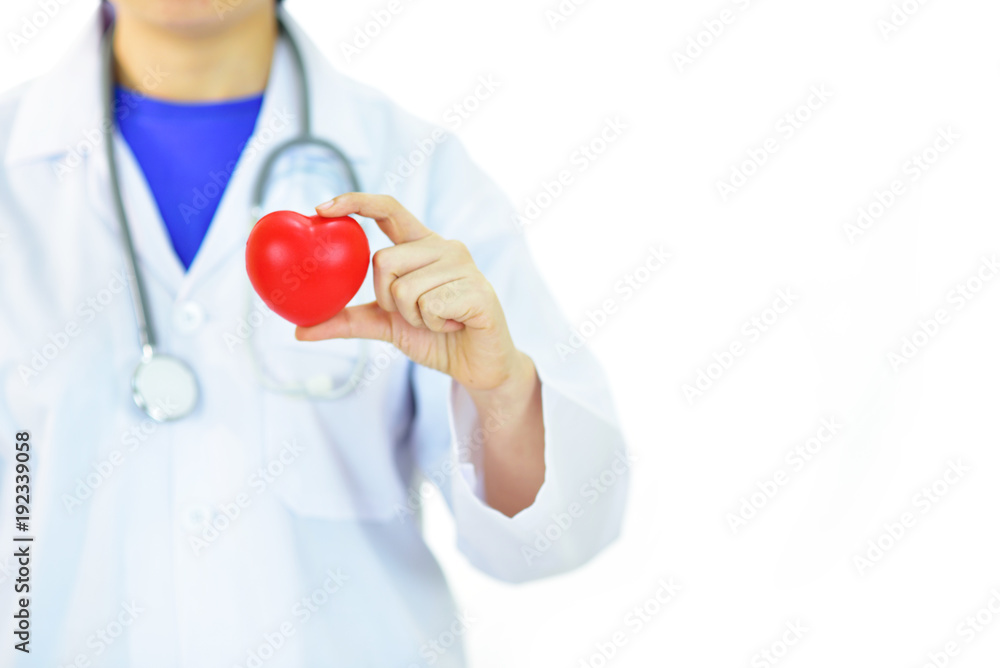 Cardiologist with heart, heart care concept
Cardiologist with heart, heart care concept