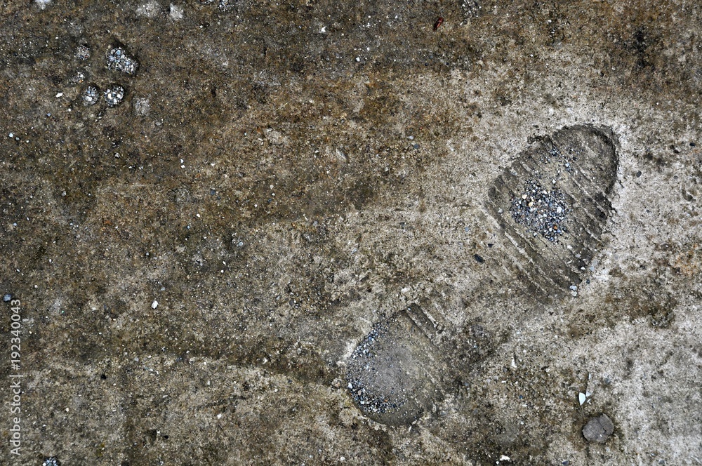 Fototapeta premium footprint of sneakers on concrete