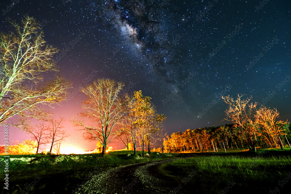 milky way rise above trees with strong light pollution. image contain soft focus, blur and noise due to long expose and high iso. milky way rise above trees with strong light pollution. image contain soft focus, blur and noise due to long expose and high iso.