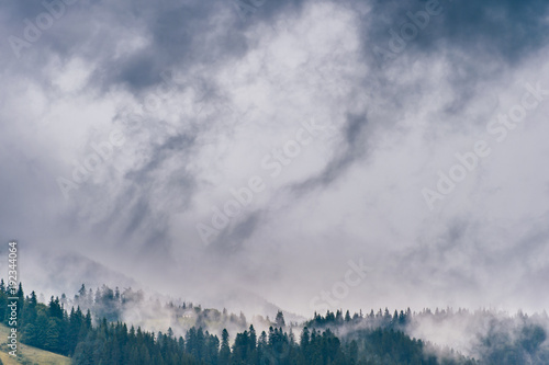 Beautiful nature landscape. Scenic view at misty foggy mountains peaks covered with rainy stormy clouds. Mystic hills with forest in summer. Discover Carpathians. Dramatic fable contryside wallpaper.