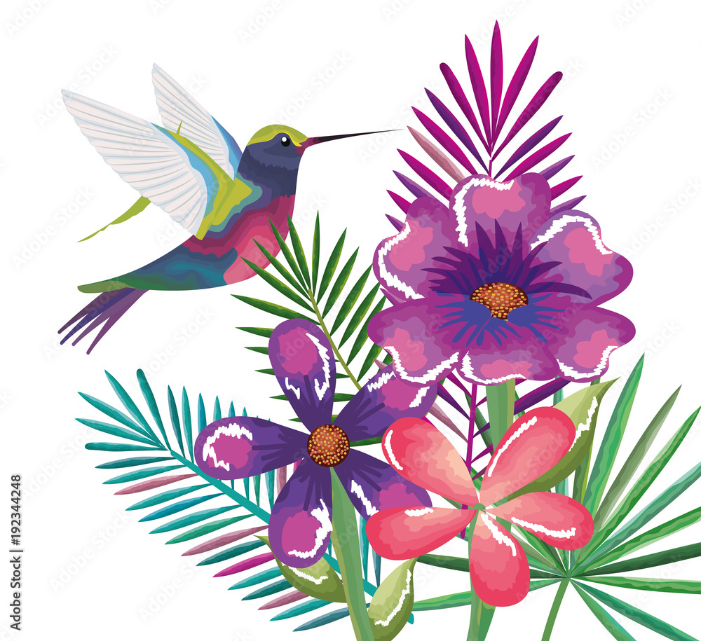 tropical and exotic garden with hummingbird vector illustration design