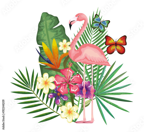 tropical and exotic garden with flemish vector illustration design
