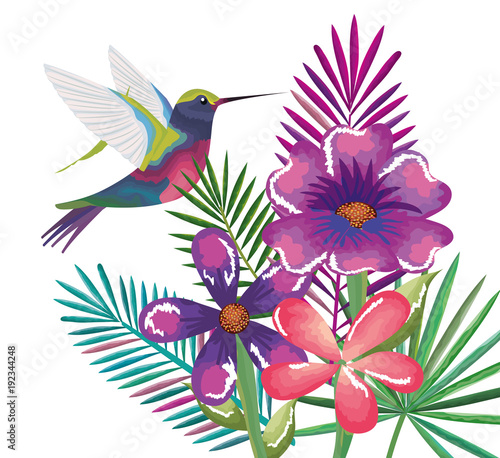 tropical and exotic garden with hummingbird vector illustration design