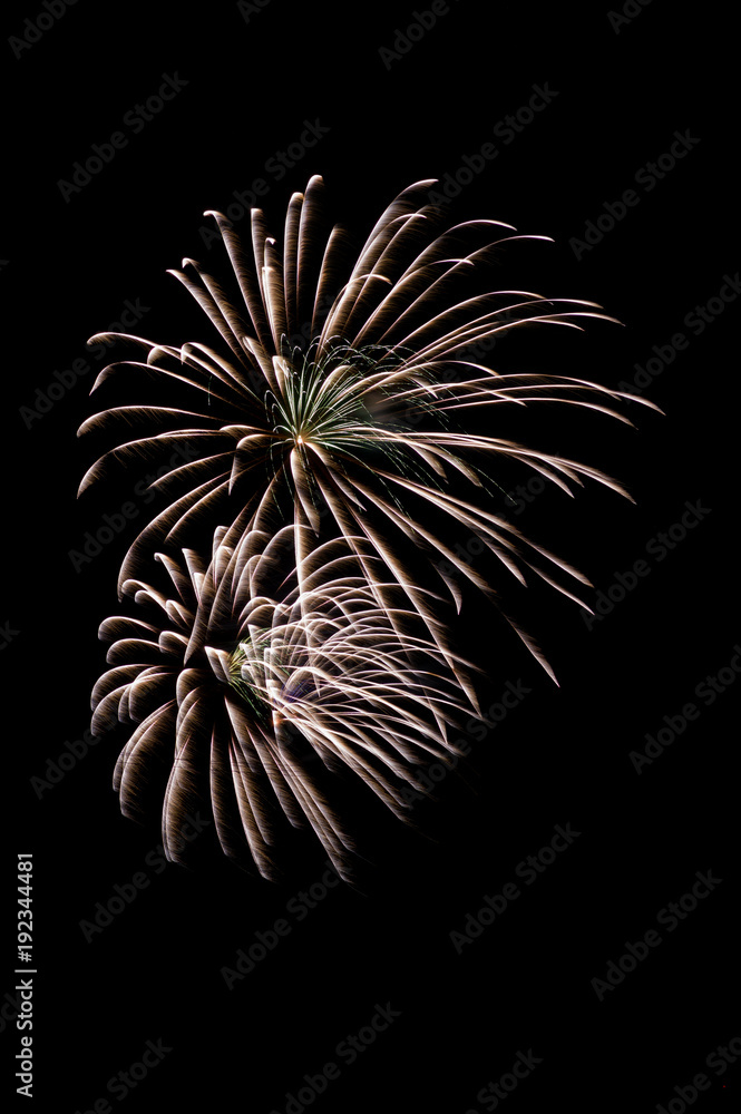 Obraz premium Fireworks