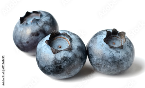 fresh blueberries isolated on the white background