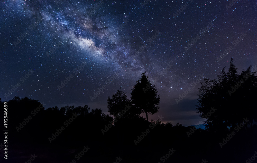 milky way rise above tree.