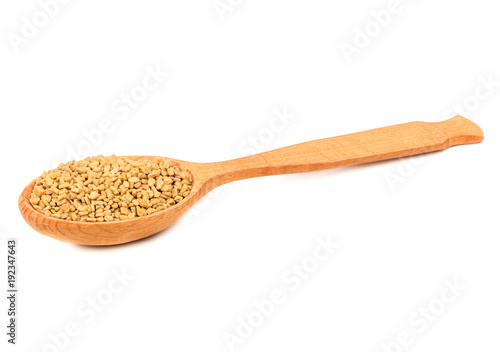Seeds fenugreek in spoon