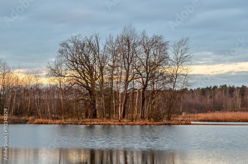 Winter morning landscape. Islet on the lake in the morning scenery.
