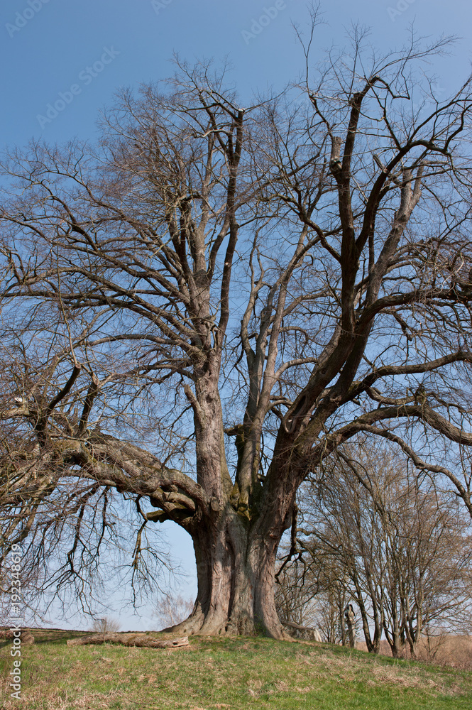 Annalinde bei Heilbronn im Frühling Annalinde bei Heilbronn im Frühling