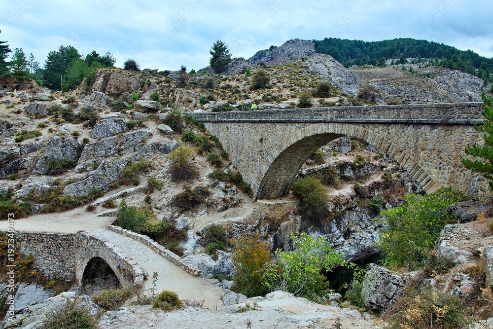 Corsica-bridges over the river Golo