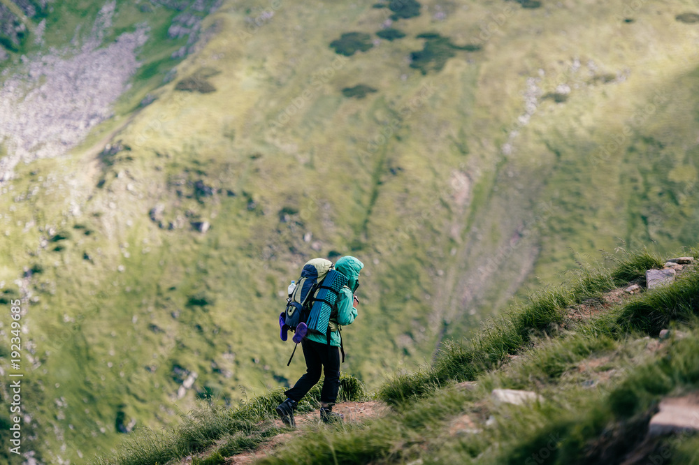 Fototapeta premium Travelers with backpacks and professional tourist equipment climbing carpathian mountains. Hard hiking. Conquest of high hills. Heavy luggage. Reaching top. Alpine walking. Vacation trip. Lifestyle.