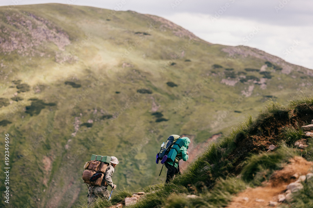Obraz premium Travelers with backpacks and professional tourist equipment climbing carpathian mountains. Hard hiking. Conquest of high hills. Heavy luggage. Reaching top. Alpine walking. Vacation trip. Lifestyle.