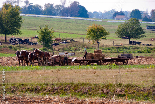 Amish Farmers Working with There Horses photo