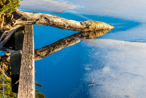 Ein Zweig ragt in die gefrorene Eisschicht eines Sees hinein