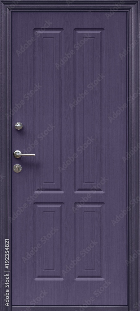 The model of the entrance metal door (isolated) The model of the entrance metal door (isolated)