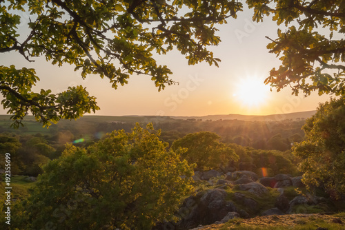 Sunset over the Dartmoor woodland