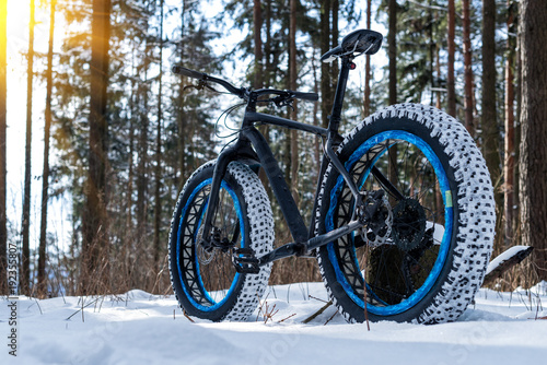 Fatbike in the winter forest on a sunny day