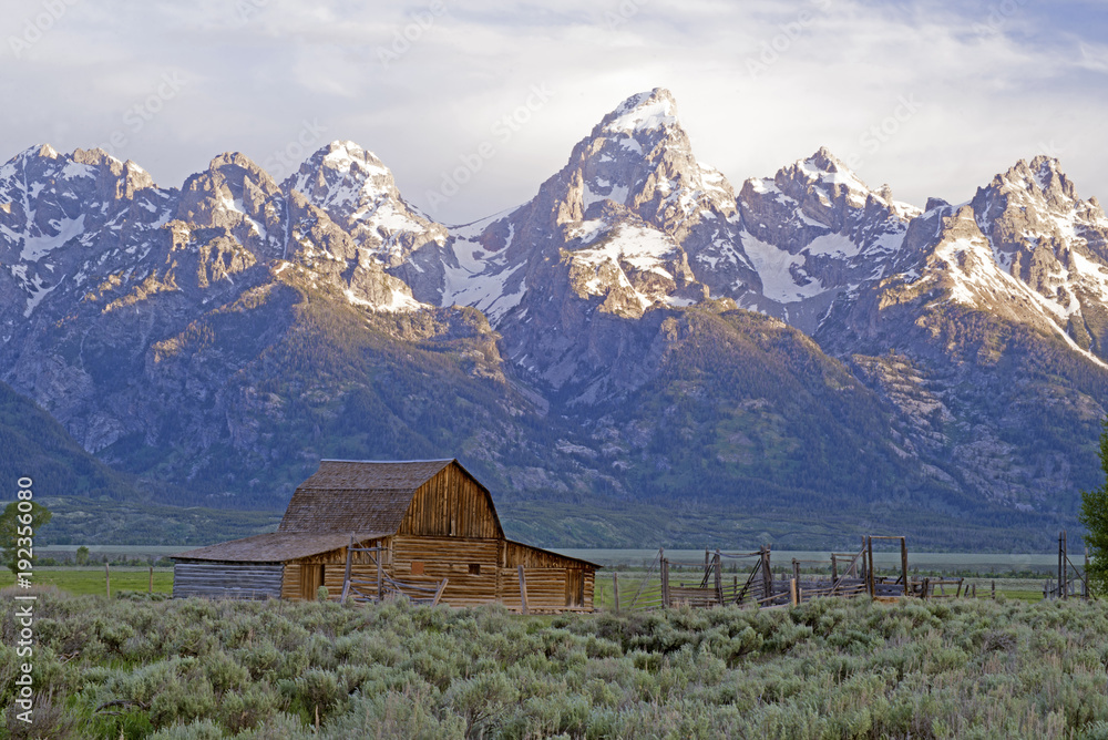 Famous barn beneath snow capped mountain in the Grand Tetons.