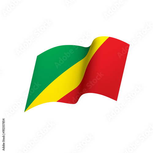 Congo flag  vector illustration