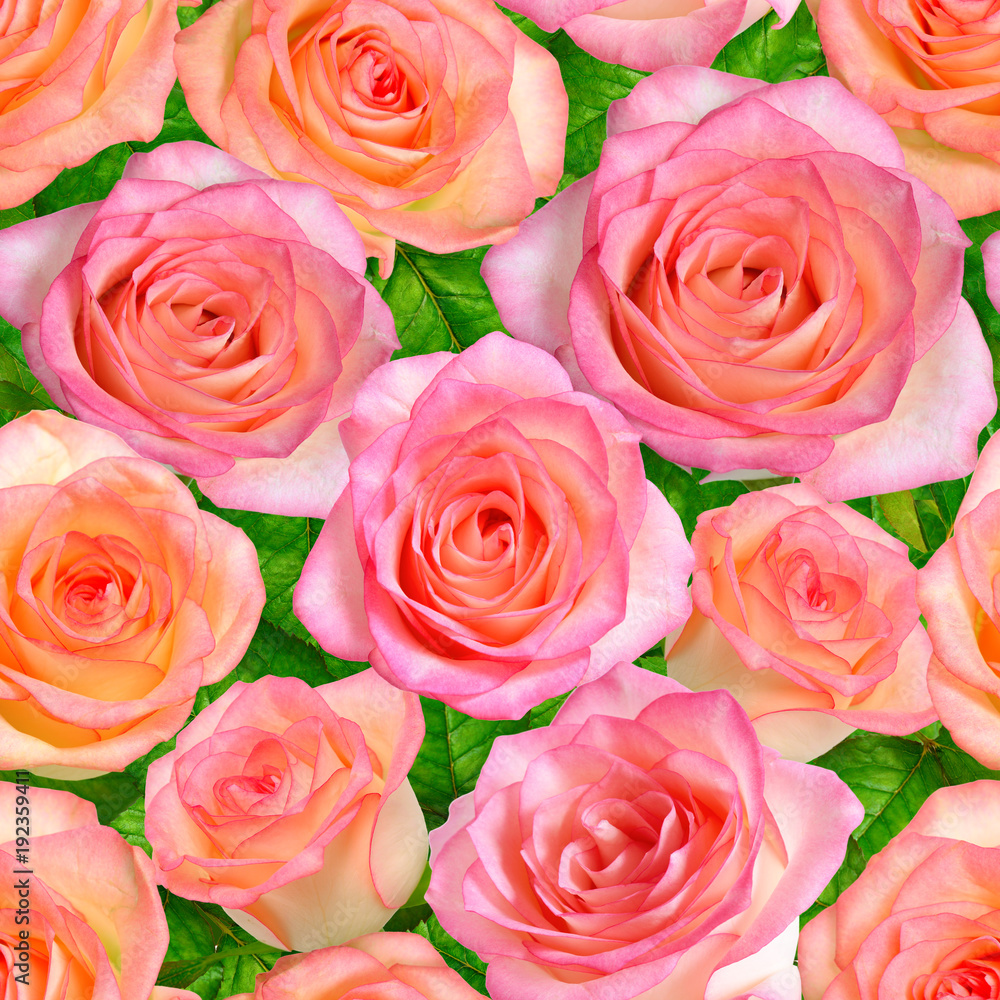 Seamless background with Pink roses Seamless background with Pink roses