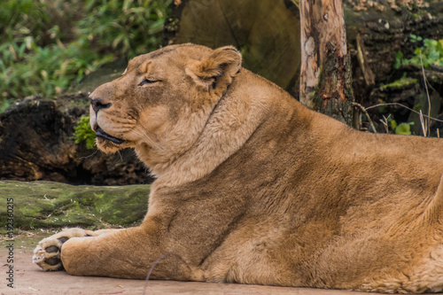 Zoom Erlebniswelt Gelsenkirchen
