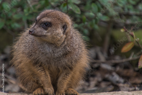 Zoom Erlebniswelt Gelsenkirchen